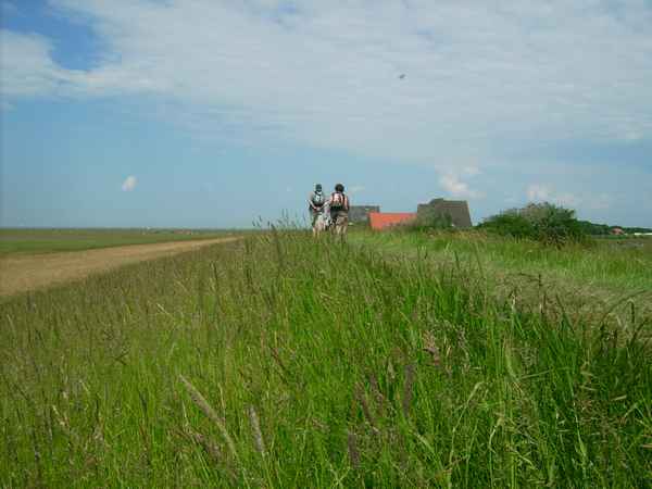 Neuwerk II Sommer08