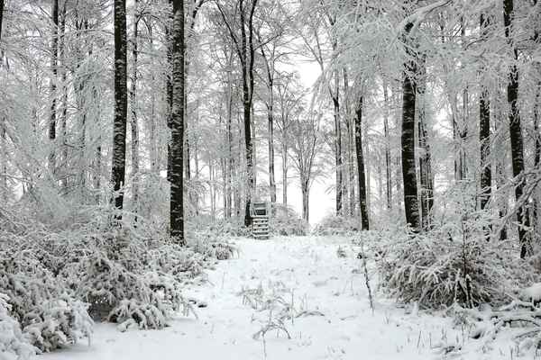 Beim Ansitz bitte warm anziehen!
