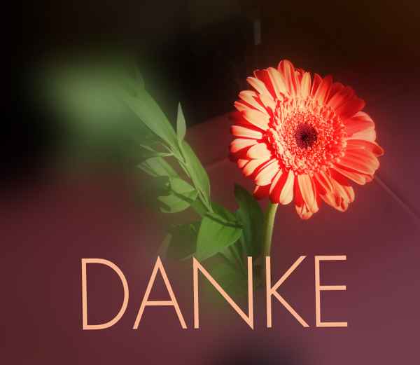Tischdeko mit Gerbera, Text Danke