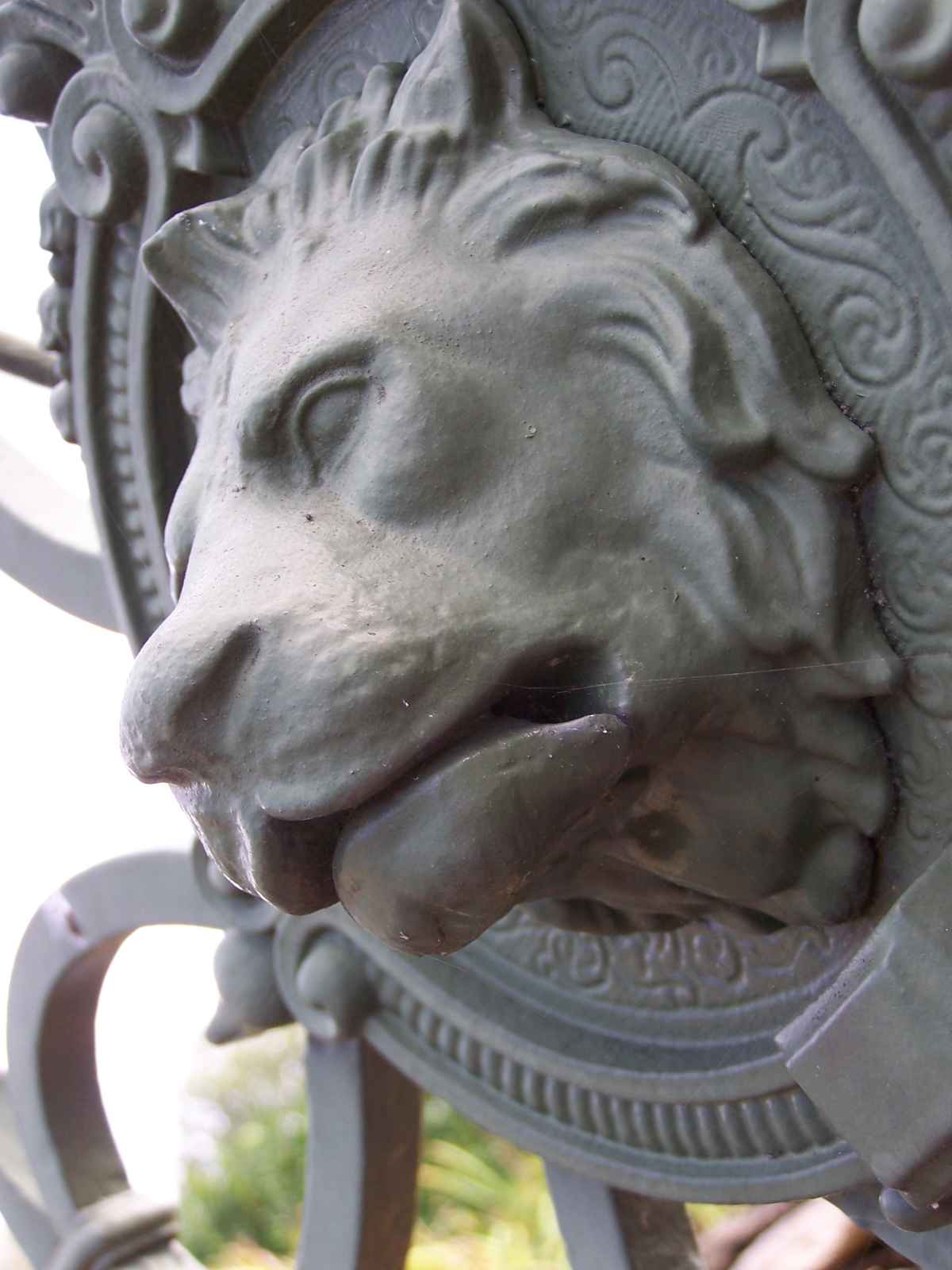 Löwenkopf