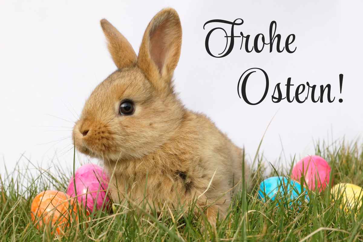 Frohe Ostern mit Osterhasen