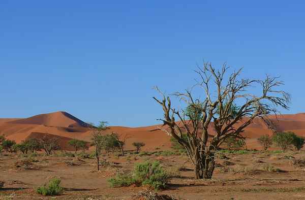 Wüste in Namibia