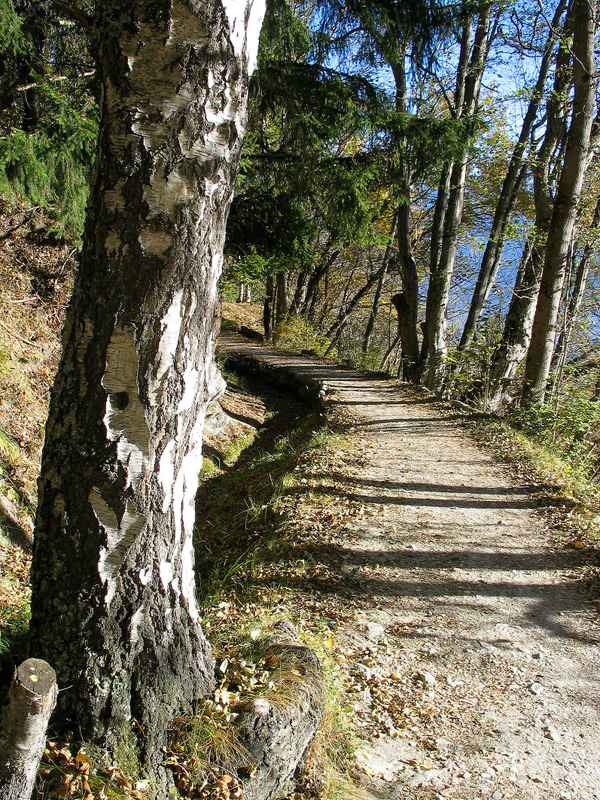 Der Weg ist das Ziel