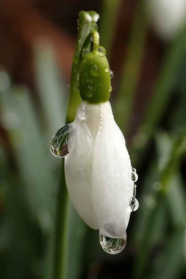 Heute wegen Regen geschlossen...