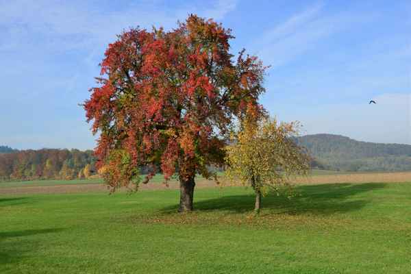 Groß und Klein im herbstlichen Look