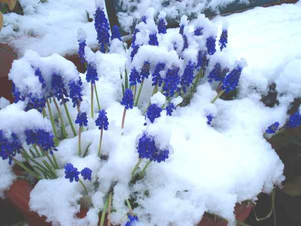 Der Frühling macht Pause