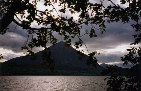 Niesen mit Thunersee