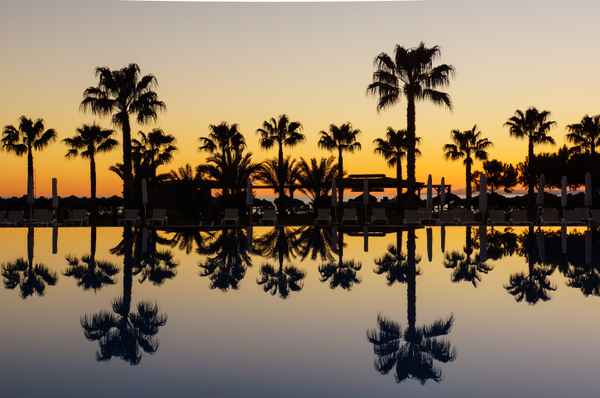 Sundown, Pool und Palmen 3