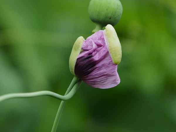 die fesseln sprengen