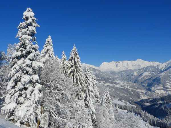 Prättigau mit Scesaplana