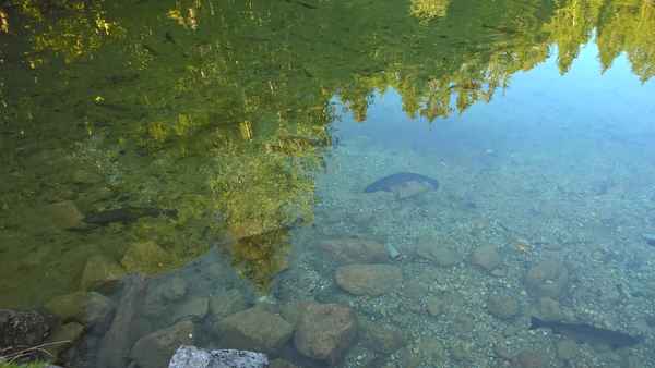 Badersee