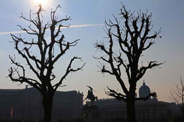 Volksgarten Wien 06