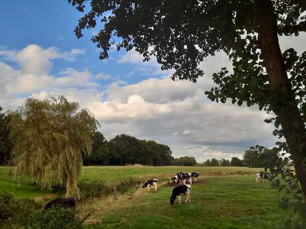 Herbststimmung