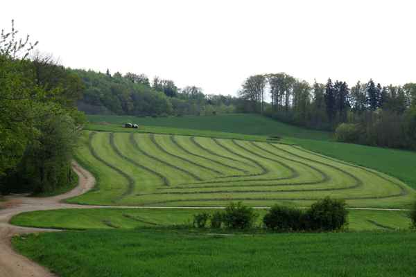 Der erste Grasschnitt