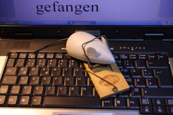 gefangen 2