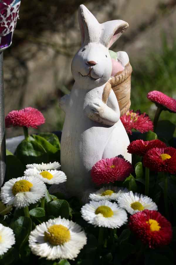 Der Osterhase