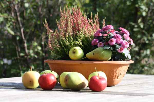 Herbstliche Tischdeko