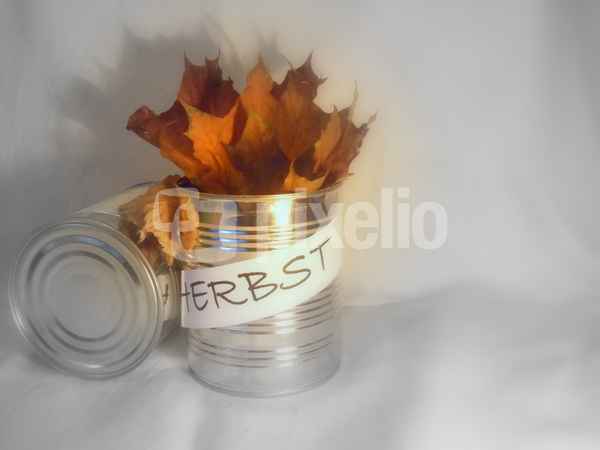 herbstzeitdose 45