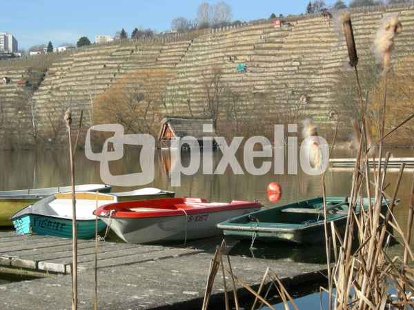 max_eyth_see_feb_08_b