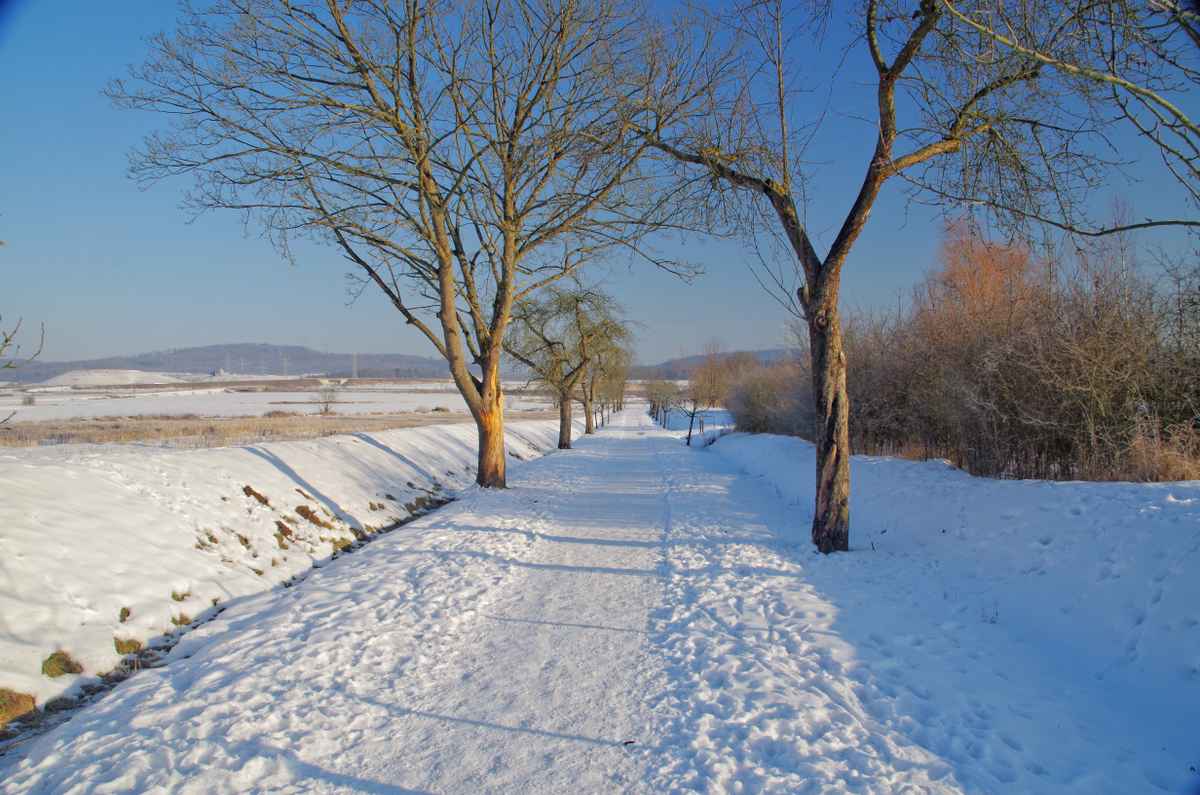 Winter am Esbachsee 02