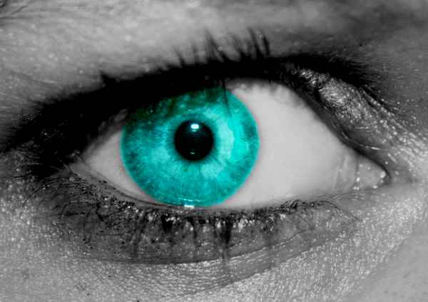 Blick