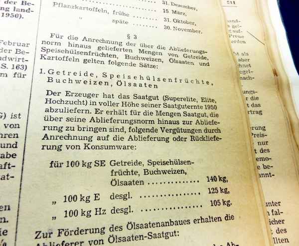 Deutsche Geschichte IV
