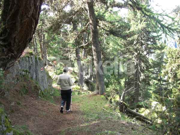 Wanderung zur Massaschlucht / 2