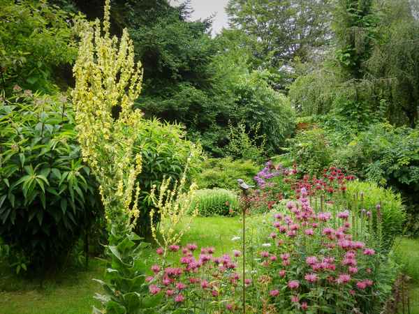 Bienenfreundlicher Garten