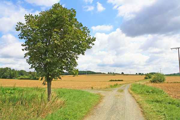 Zwischen den Feldern 3