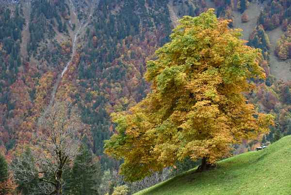An exponierter Stelle