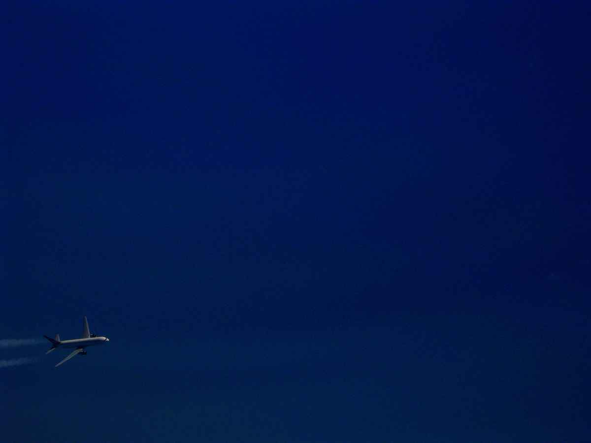 fly high