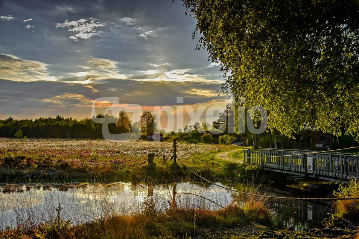 Sonnenuntergang im Moor