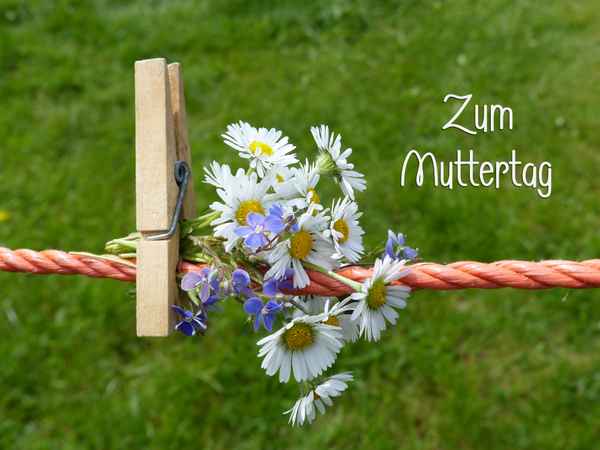 Zum Muttertag