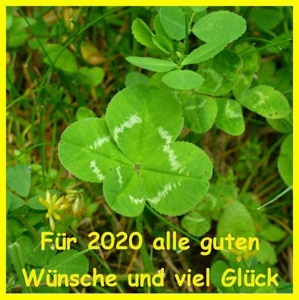 Glückliches 2020