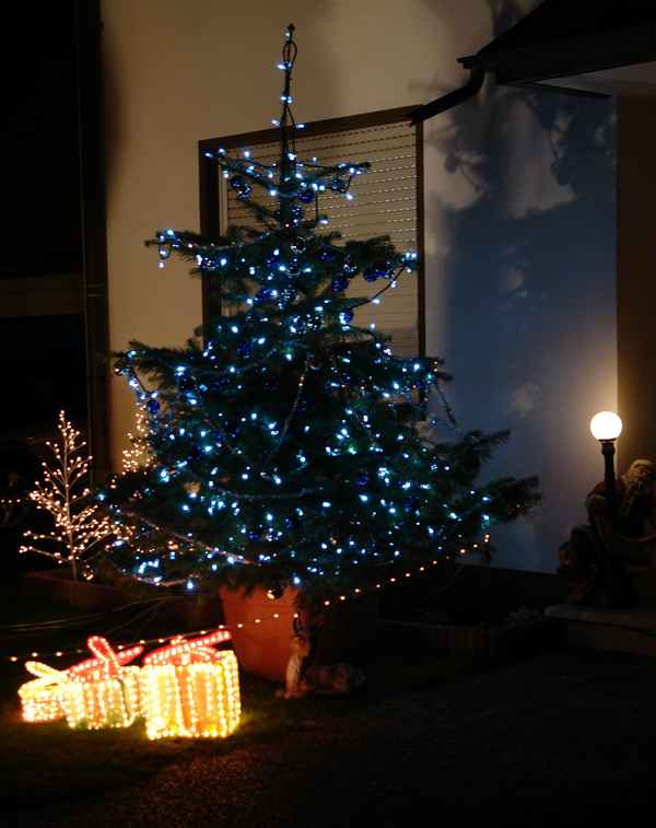 illuminierter Christbaum