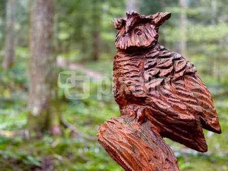 Waldkauz als Schnitzerkunst
