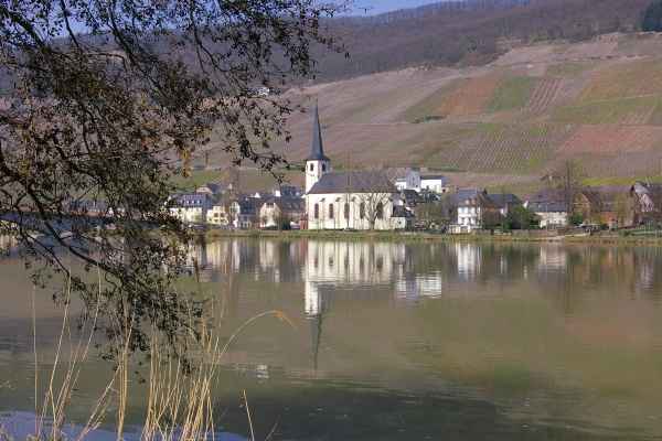Mosel