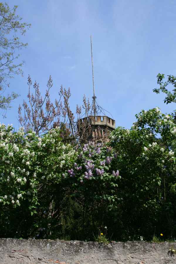 Mittelalter in Oppenheijm