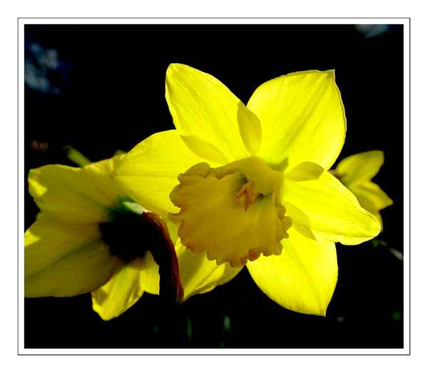Von der Sonne geküsst