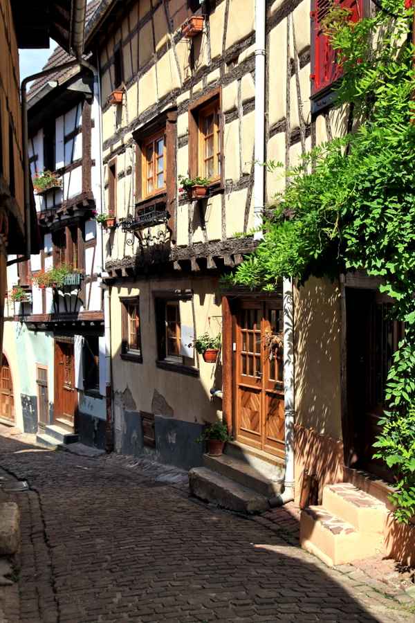 Blühendes Eguisheim