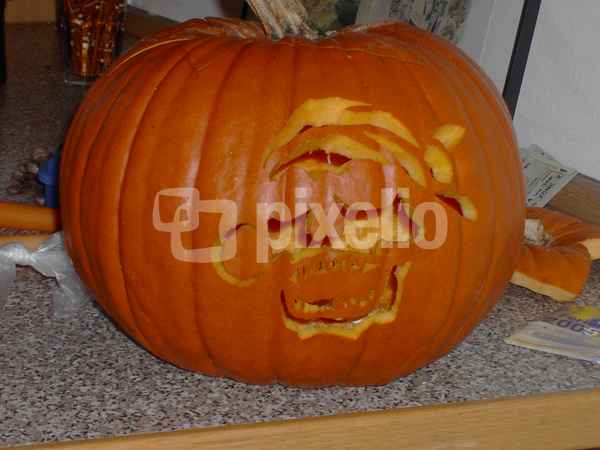 Halloweenpirat - bei Licht