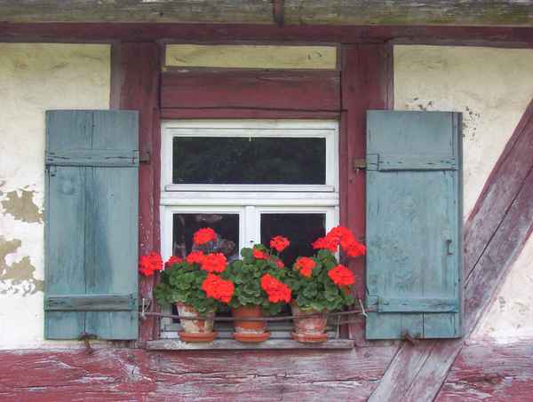 Ein geschmücktes Fensterchen
