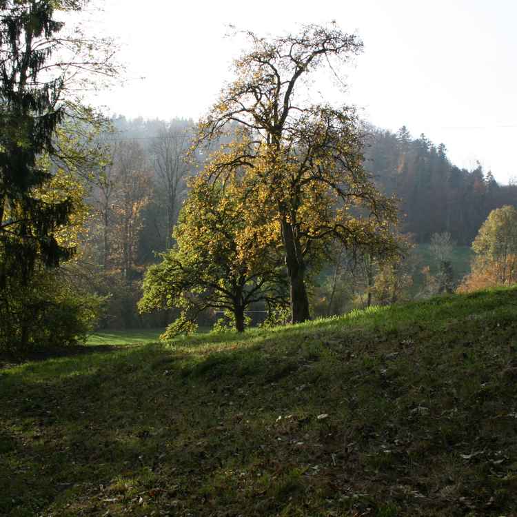 Herbstwanderung an der Sitter