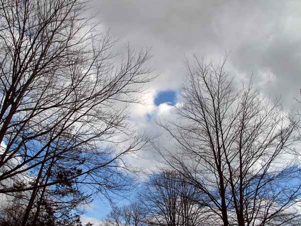 Himmel, Wolken und Baumspitzen