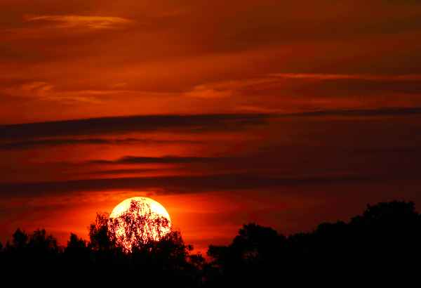 dawn