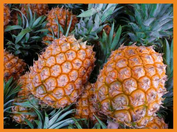 saftig und gesund...