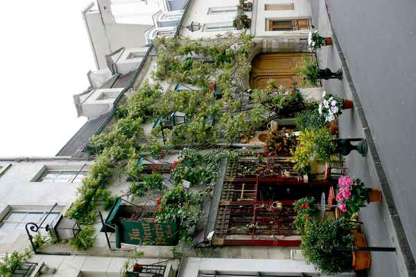 Blumenladen in Paris