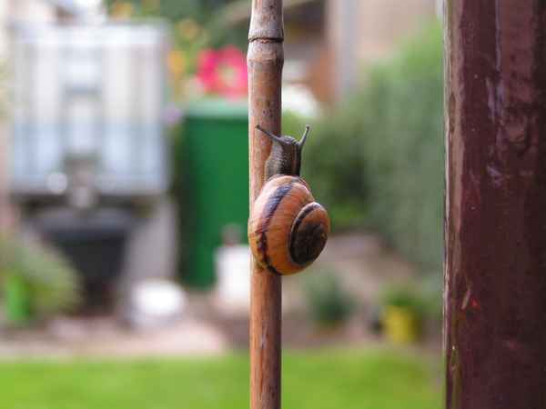 Der schwere Weg nach oben