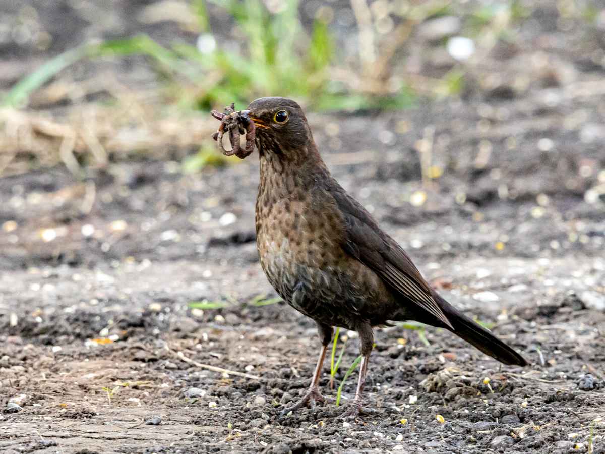 Diese Kinder machen nur Arbeit