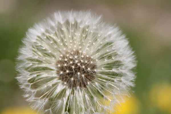 ...bald fliegen wir fort...01